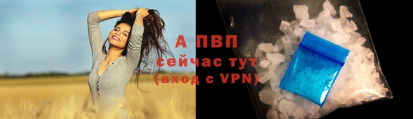 Альфа ПВП Володарск